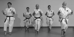 Mehr über den Artikel erfahren Karate Vorführung September 2026